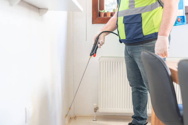 Best Ant Control Services  in Myers Corner, NY