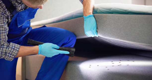 Best Ant Control Services  in Myers Corner, NY
